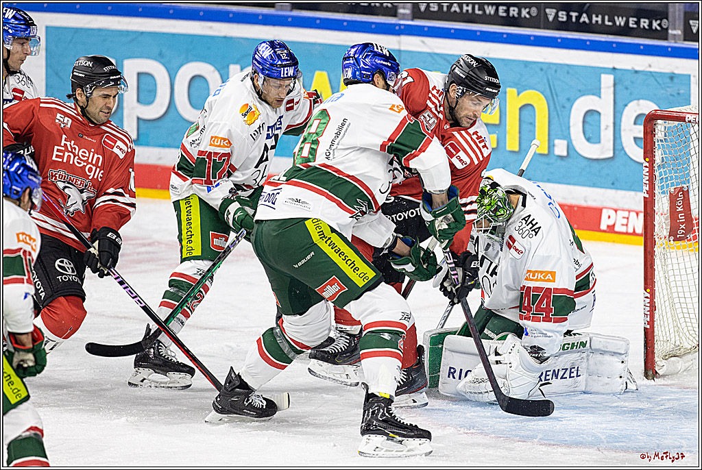 PENNY DEL;  Kölner Haie - Augsburger Panther; Köln, 20.12.2022